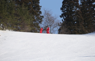 c82q3767.jpg